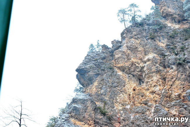 ���� 65: ������ �������� (������������ ����� - ����� ����� �����)