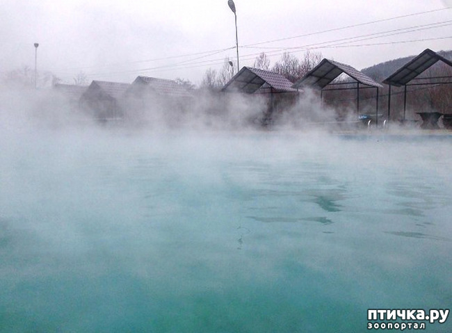 ���� 69: ������ �������� (������������ ����� - ����� ����� �����)