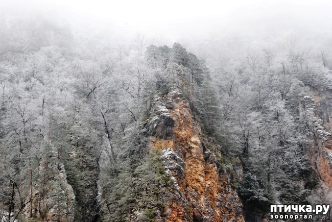 ���� 13: ������ �������� (������������ ����� - ����� ����� �����)