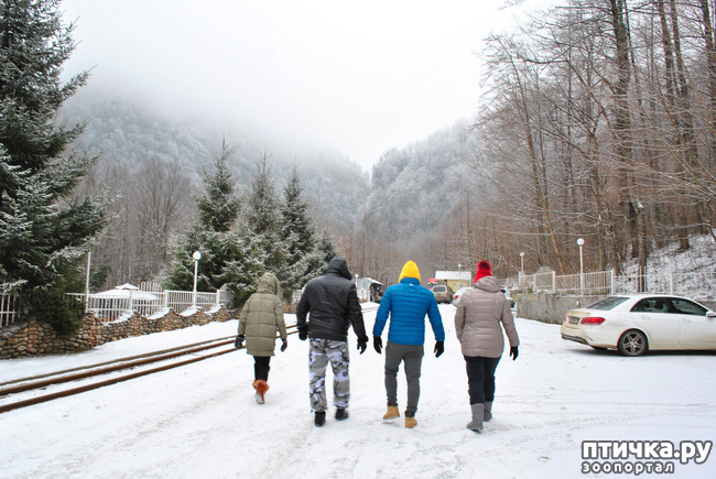 ���� 1: ������ �������� (������������ ����� - ����� ����� �����)