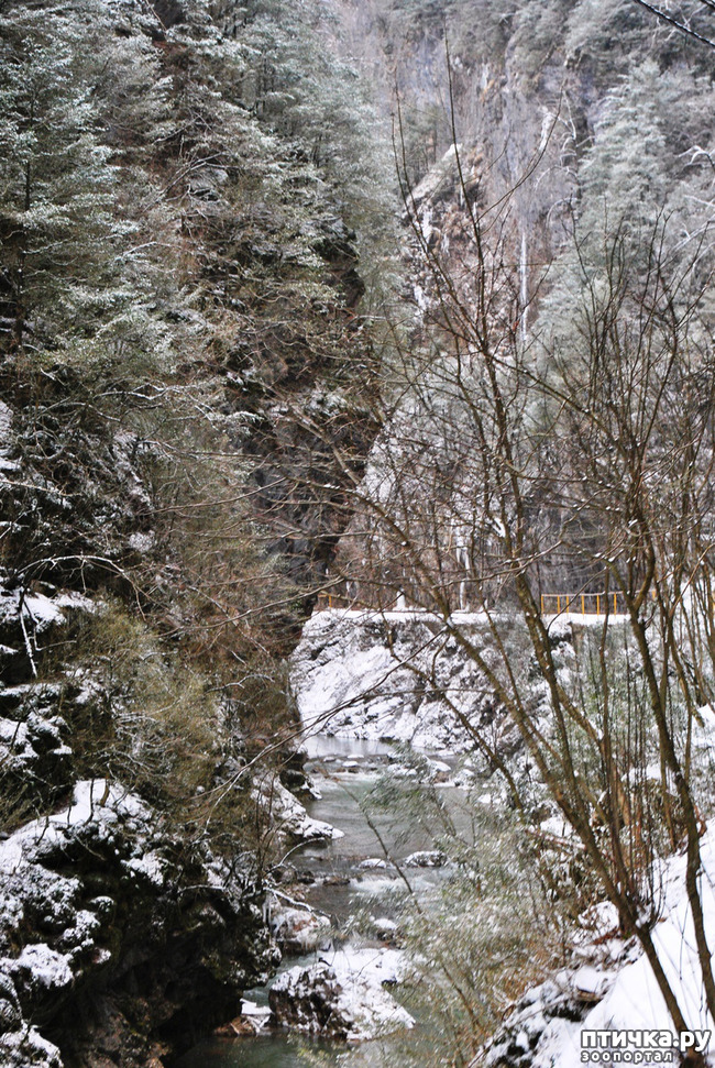 ���� 9: ������ �������� (������������ ����� - ����� ����� �����)