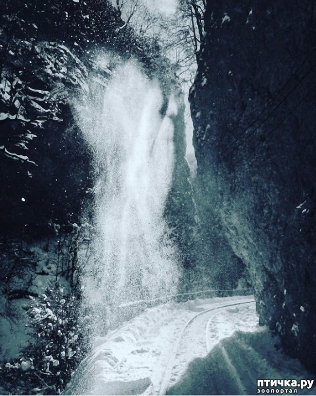 ���� 8: ������ �������� (������������ ����� - ����� ����� �����)