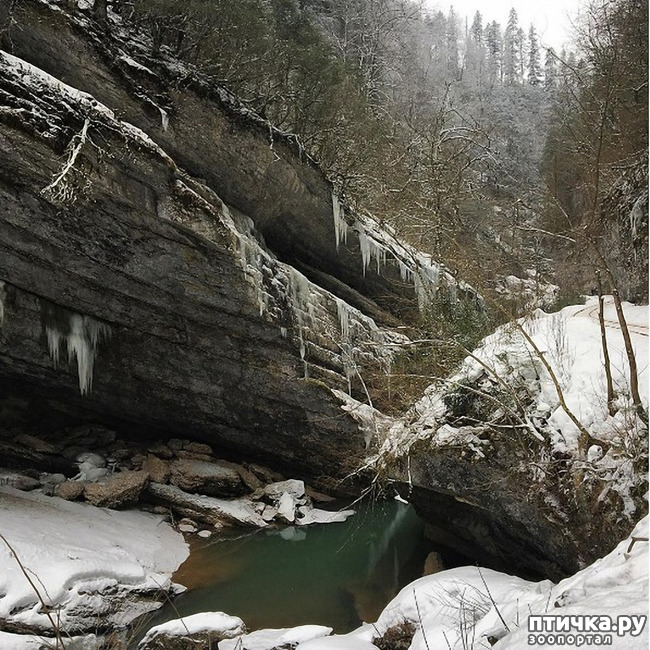 ���� 5: ������ �������� (������������ ����� - ����� ����� �����)