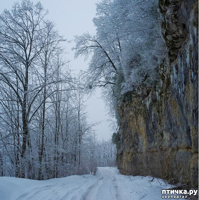 ���� 7: ������ �������� (������������ ����� - ����� ����� �����)