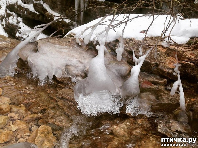 ���� 6: ������ �������� (������������ ����� - ����� ����� �����)