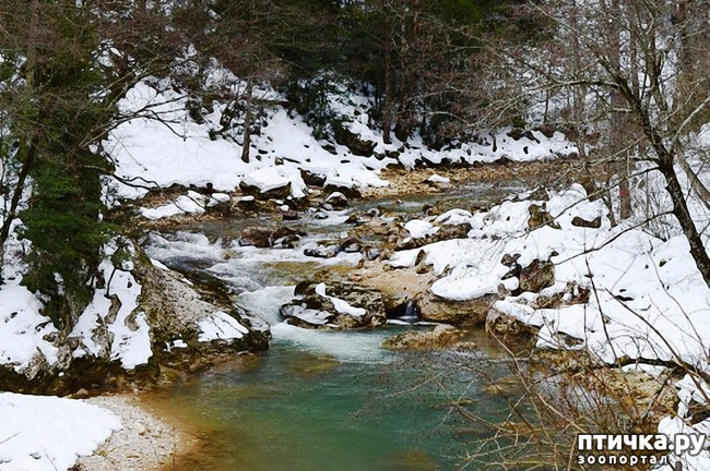 ���� 4: ������ �������� (������������ ����� - ����� ����� �����)