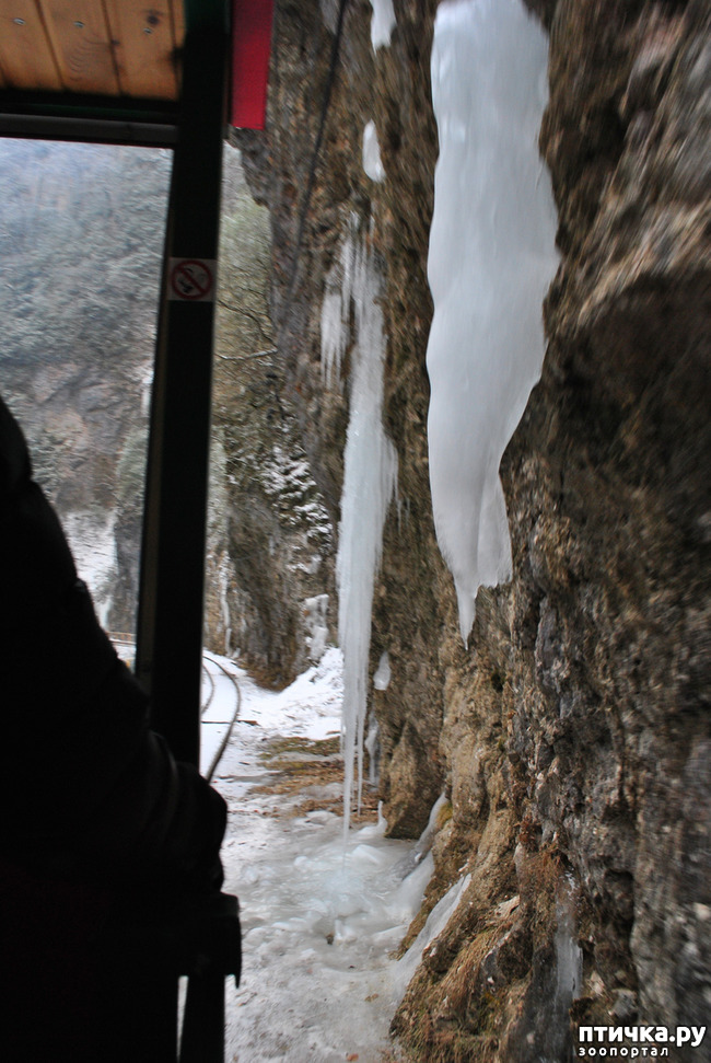 ���� 11: ������ �������� (������������ ����� - ����� ����� �����)