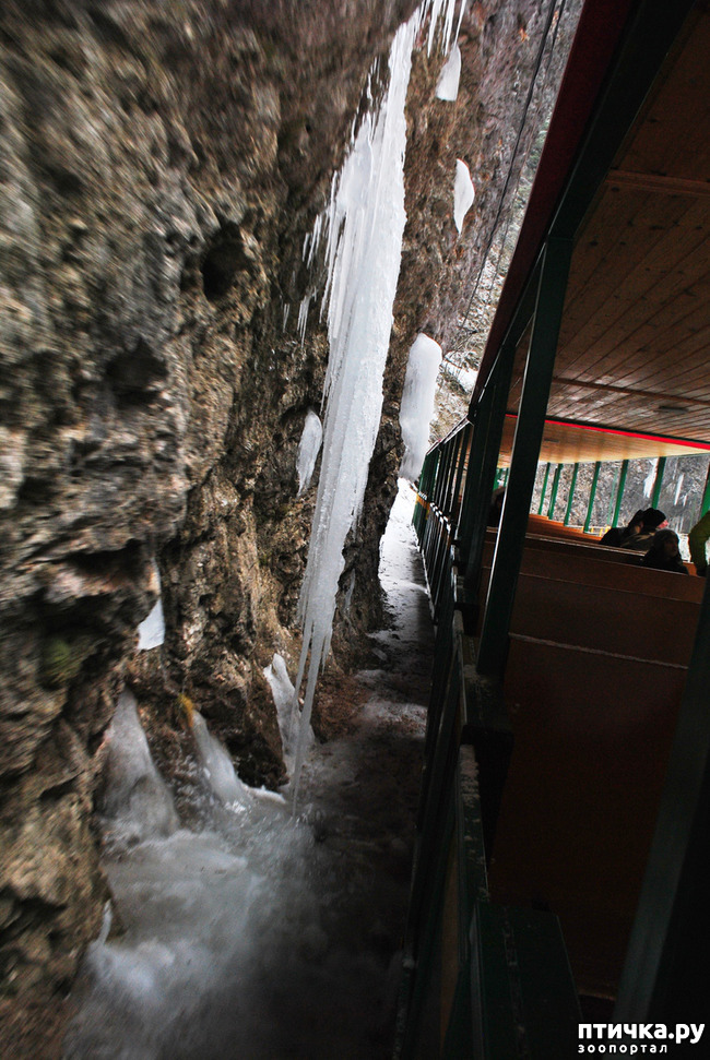 ���� 12: ������ �������� (������������ ����� - ����� ����� �����)