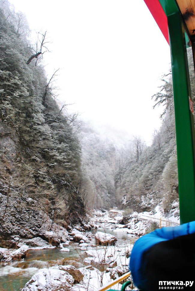 ���� 14: ������ �������� (������������ ����� - ����� ����� �����)