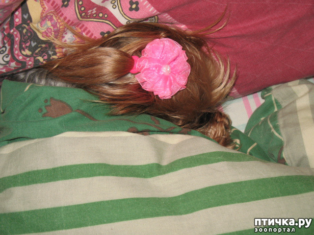 ���� 2: ������� ����� �� �� ������!