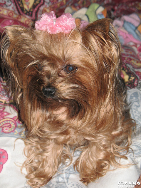 ���� 3: ������� ����� �� �� ������!