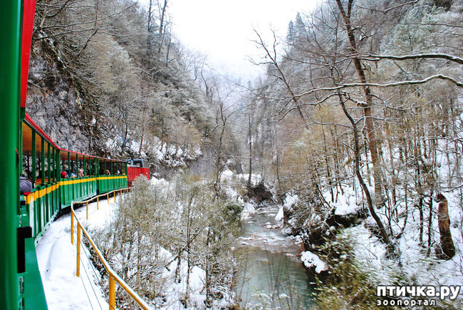 ���� 15: ������ �������� (������������ ����� - ����� ����� �����)