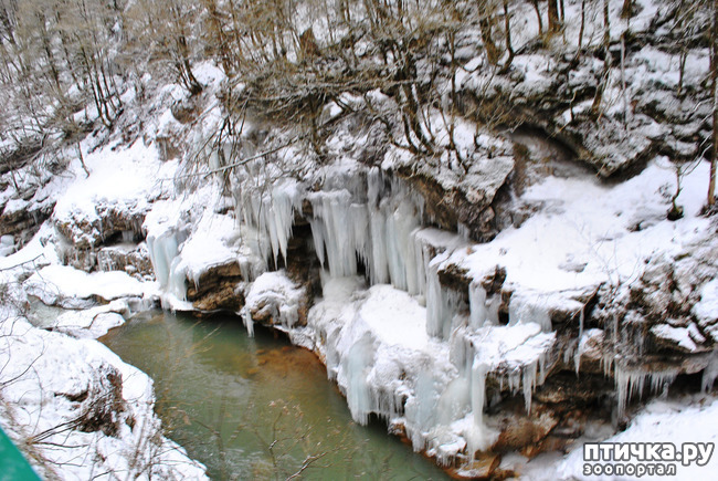 ���� 18: ������ �������� (������������ ����� - ����� ����� �����)