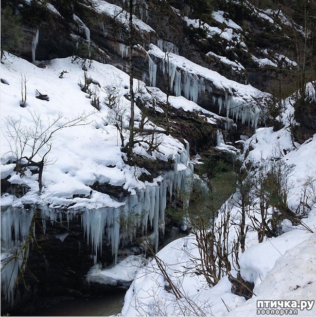 ���� 17: ������ �������� (������������ ����� - ����� ����� �����)