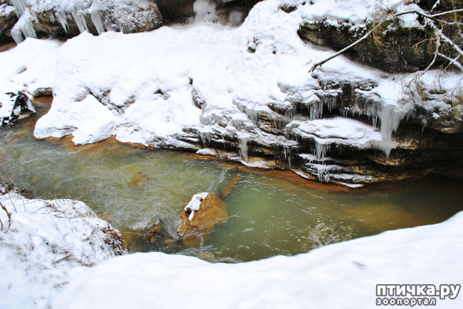 ���� 20: ������ �������� (������������ ����� - ����� ����� �����)