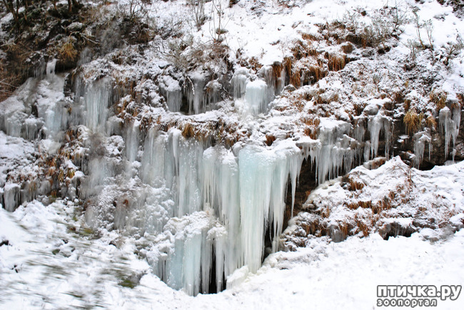 ���� 19: ������ �������� (������������ ����� - ����� ����� �����)