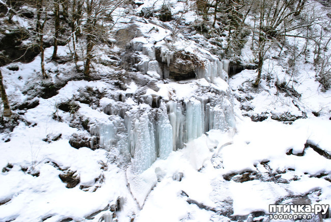 ���� 21: ������ �������� (������������ ����� - ����� ����� �����)