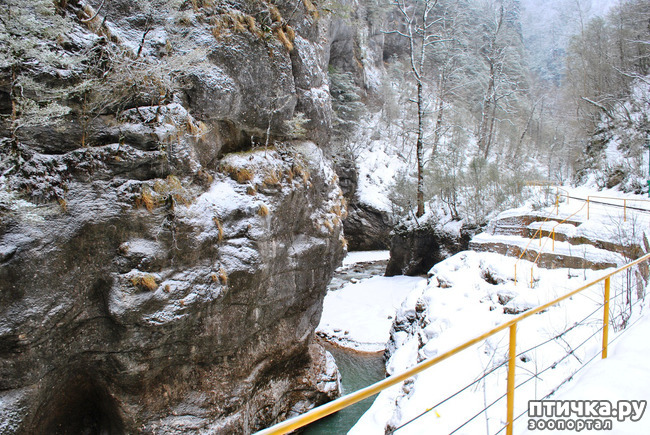 ���� 22: ������ �������� (������������ ����� - ����� ����� �����)