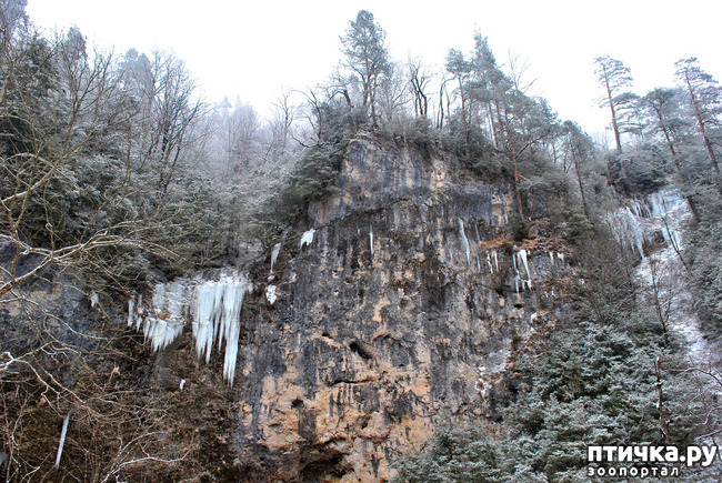 ���� 24: ������ �������� (������������ ����� - ����� ����� �����)