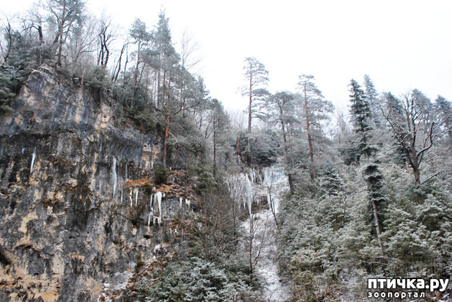 ���� 25: ������ �������� (������������ ����� - ����� ����� �����)