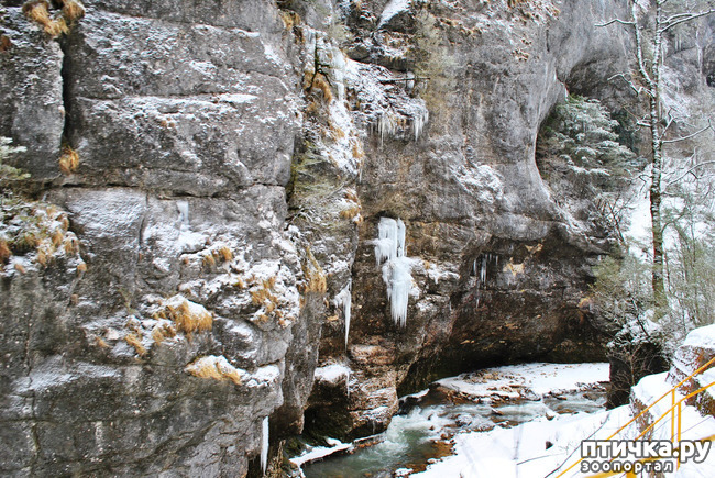 ���� 23: ������ �������� (������������ ����� - ����� ����� �����)