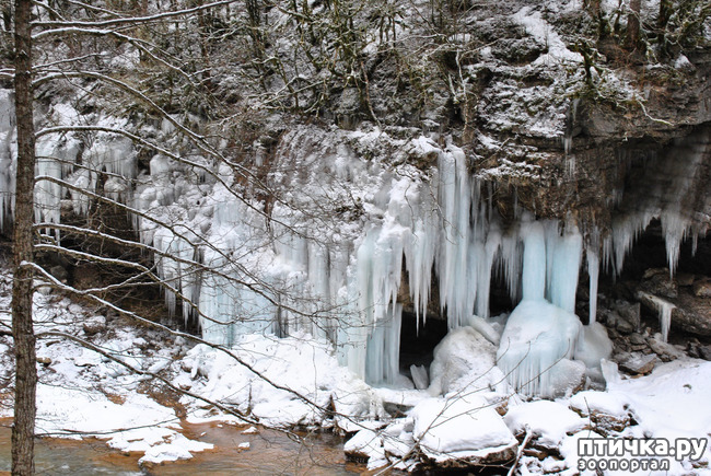 ���� 27: ������ �������� (������������ ����� - ����� ����� �����)