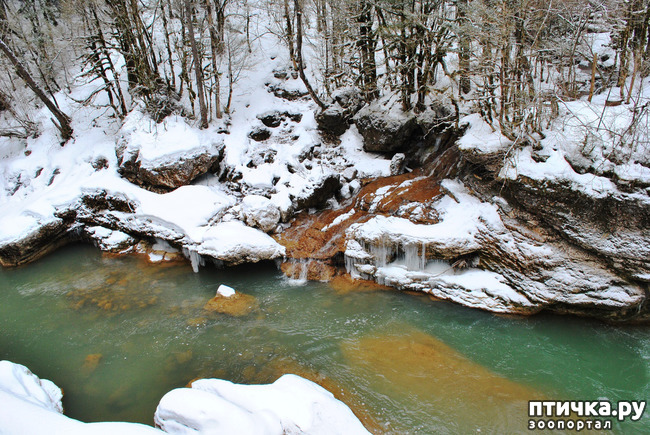 ���� 26: ������ �������� (������������ ����� - ����� ����� �����)