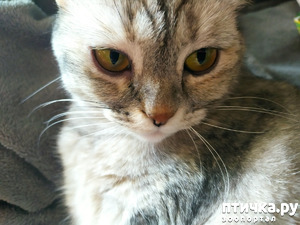 фотография: Наш глазик фото: Наш глазик