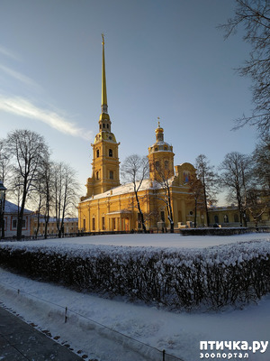 фотография: Морозная прогулка фото: Морозная прогулка