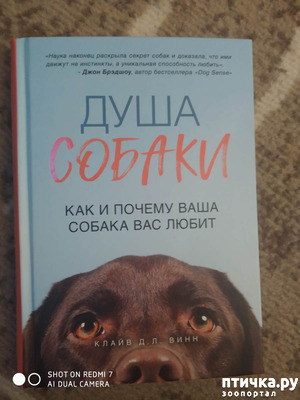 фотография: Клайв Д. Л. Винн "Душа собаки. Как и почему ваша собака вас любит" фото: Клайв Д. Л. Винн "Душа собаки. Как и почему ваша собака вас любит"