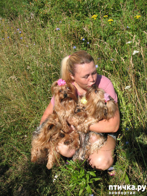 ����: ������������� ��� ���?