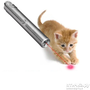 фотография: Кошки и указка светодиодная фото: Кошки и указка светодиодная