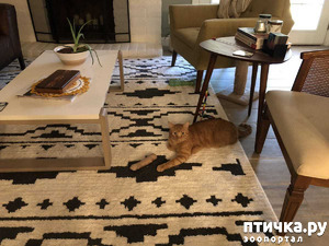 фотография: Показалось... фото: Показалось...