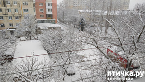 фотография: Вид из окна фото: Вид из окна