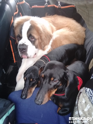 ����: ��� ������������ ����� ������.