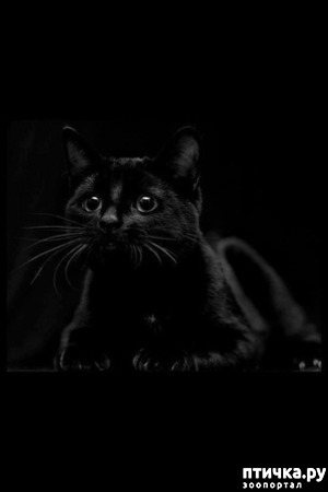 ����: �������� �������.