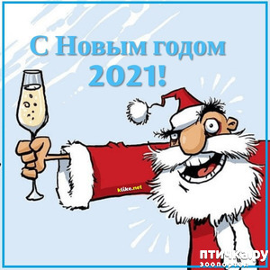 фотография: С Новым годом Вас, милые "Птички"!!! фото: С Новым годом Вас, милые "Птички"!!!