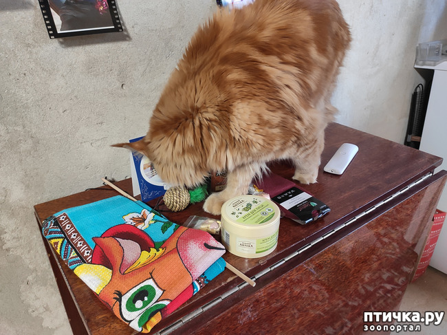 ���� 3: ������� � ����� �������!!!