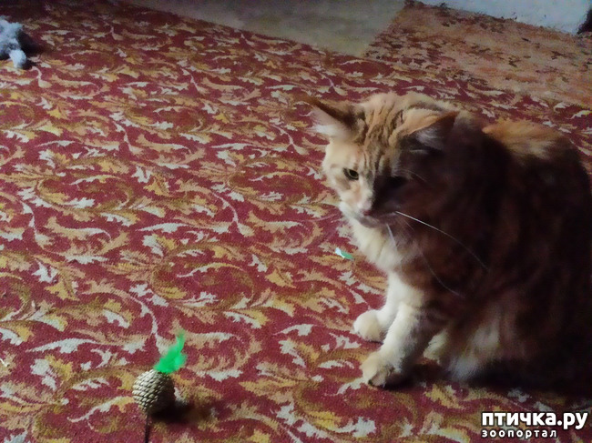 ���� 6: ������� � ����� �������!!!