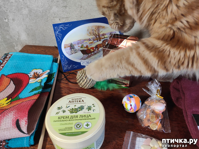 ���� 5: ������� � ����� �������!!!