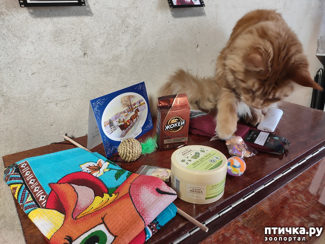 ���� 7: ������� � ����� �������!!!