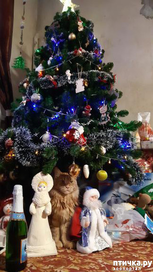 ����: ������� � ����� �������!!!