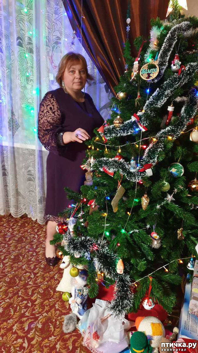 ���� 2: ������� � ����� �������!!!