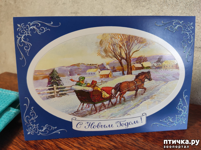 ���� 8: ������� � ����� �������!!!