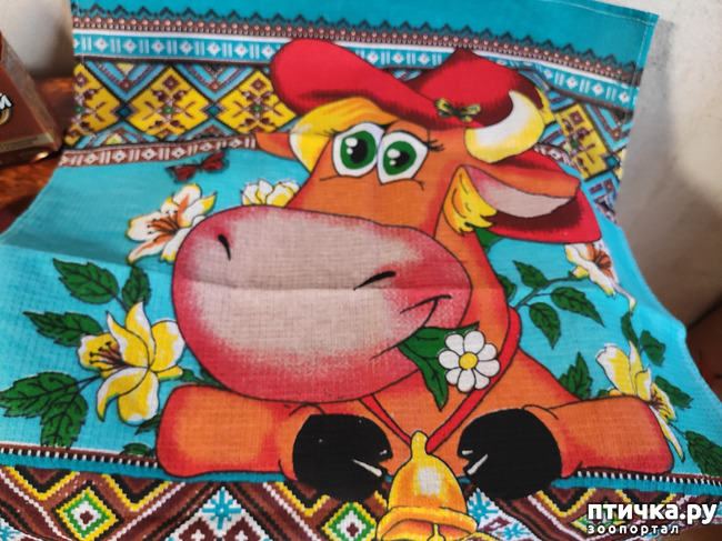 ���� 9: ������� � ����� �������!!!