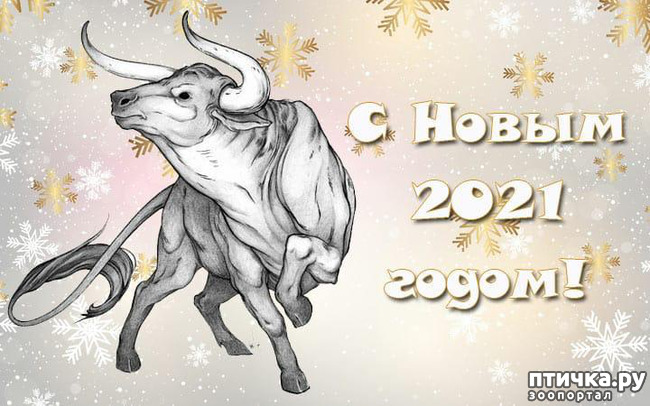 ���� 11: ������� � ����� �������!!!