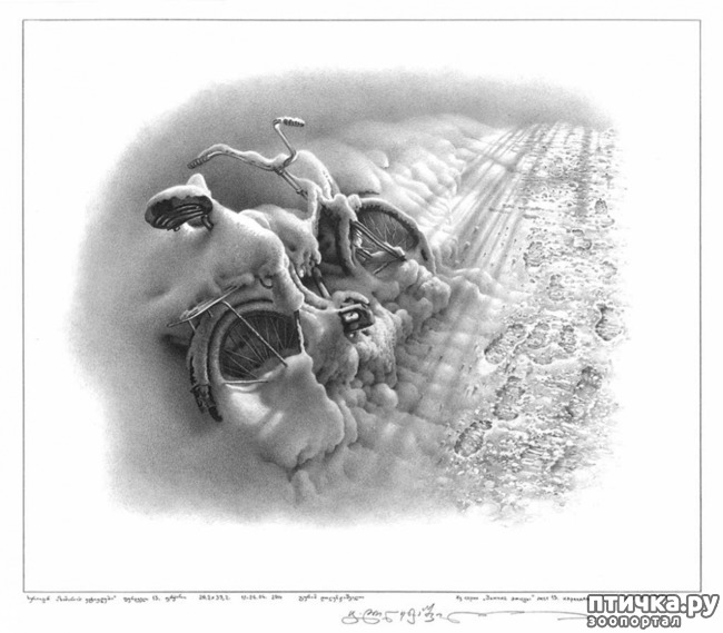 ���� 5: ������������ ������� ���� ������� ����������