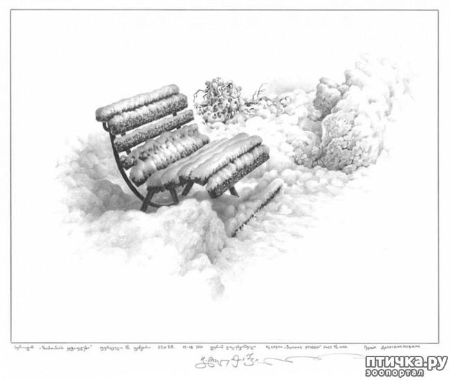 ���� 6: ������������ ������� ���� ������� ����������