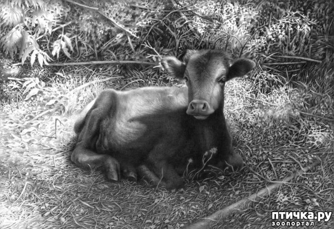 ���� 7: ������������ ������� ���� ������� ����������