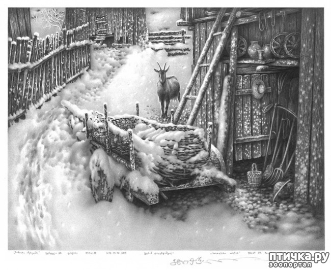 ���� 8: ������������ ������� ���� ������� ����������